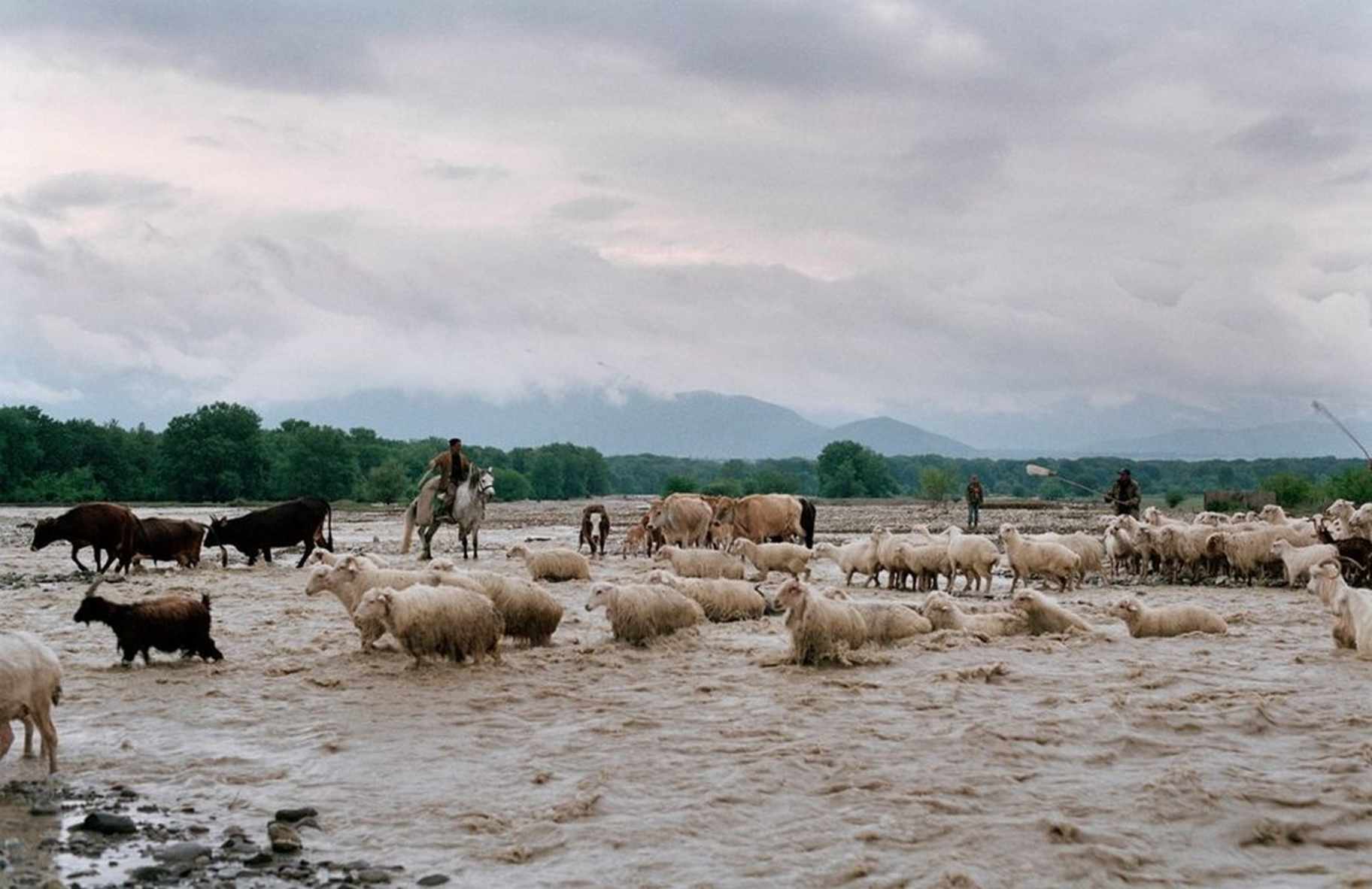 © Дмитрий Гомберг