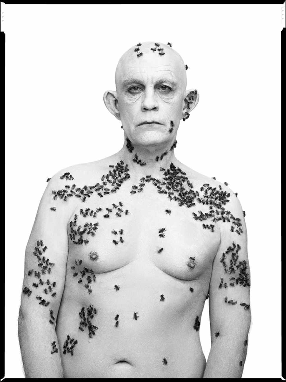 Richard Avedon, Ronald Fischer, Beekeeper, Davis, California, May 9, 1981 (1981)